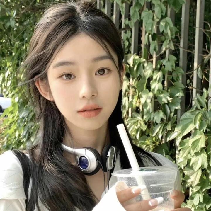 小鸟总动员 封面